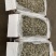 海燕鱼海鱼干公干鱼小鱼小虾小鱼干咸鱼干水晶鱼银鱼干金线鱼