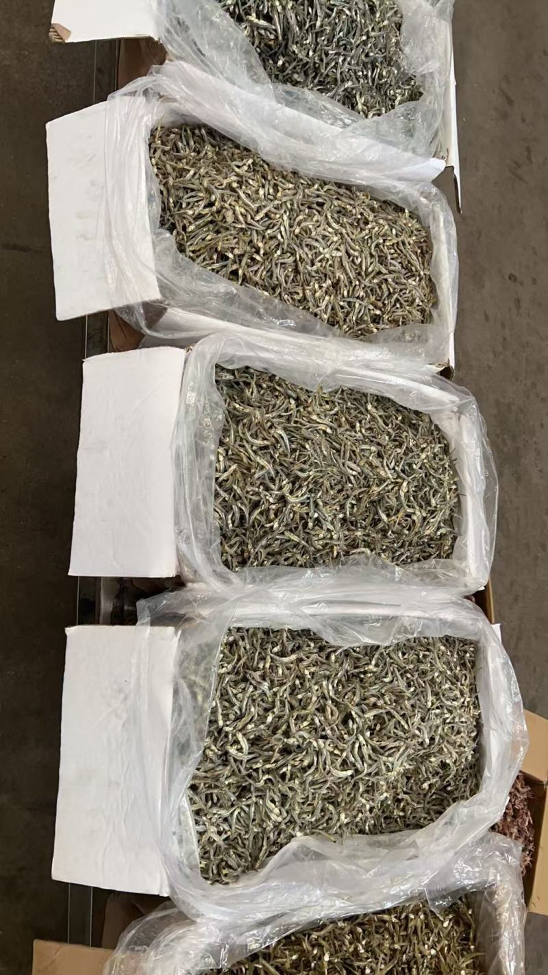 海燕鱼海鱼干公干鱼小鱼小虾小鱼干咸鱼干水晶鱼银鱼干金线鱼