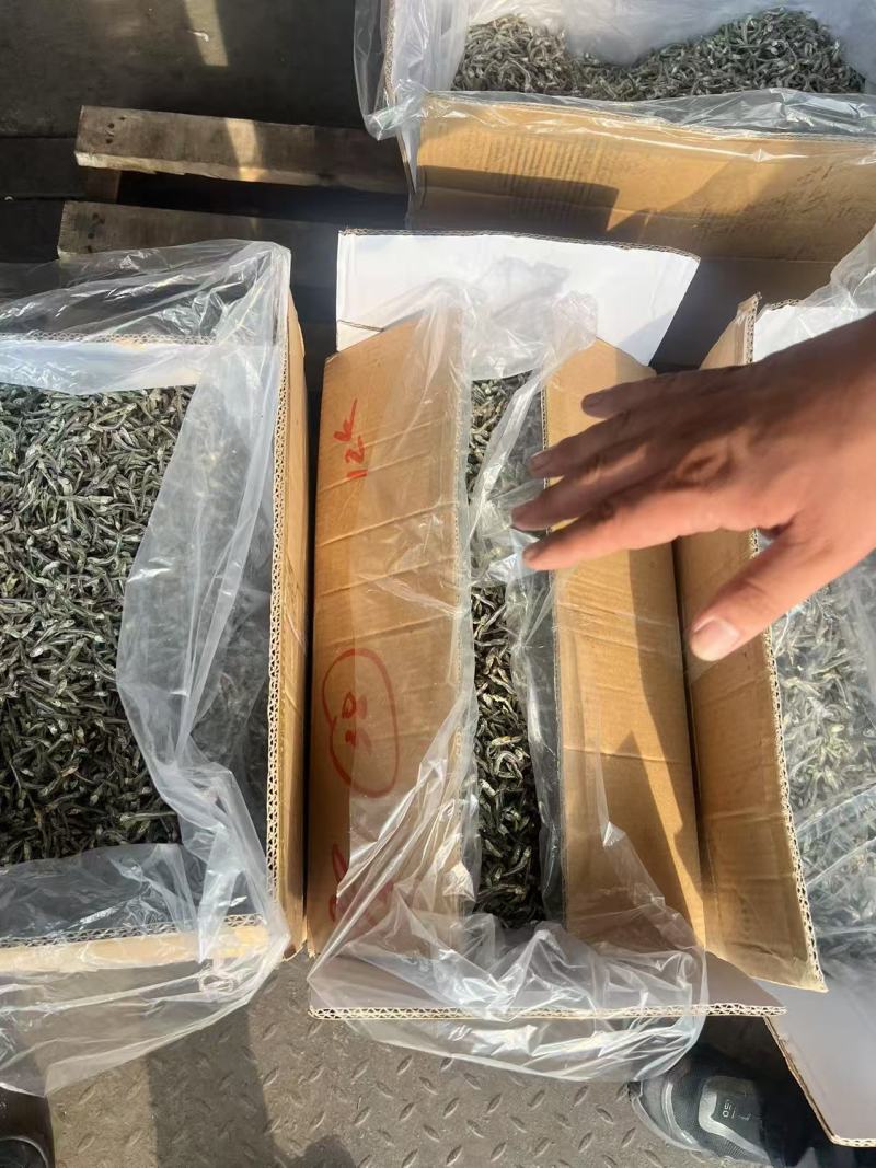 海燕鱼海鱼干公干鱼小鱼小虾小鱼干咸鱼干水晶鱼银鱼干金线鱼
