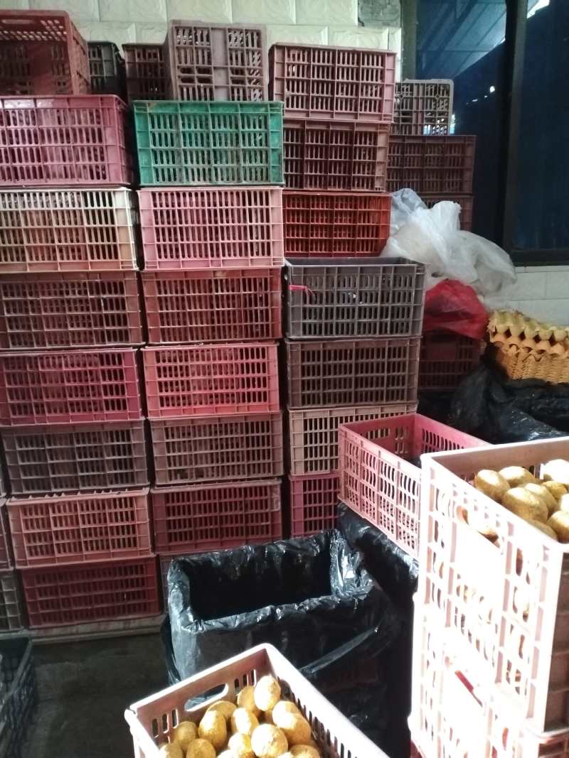 四川手工皮蛋新鲜上市价格美丽一手货源厂家直发对接全国热卖