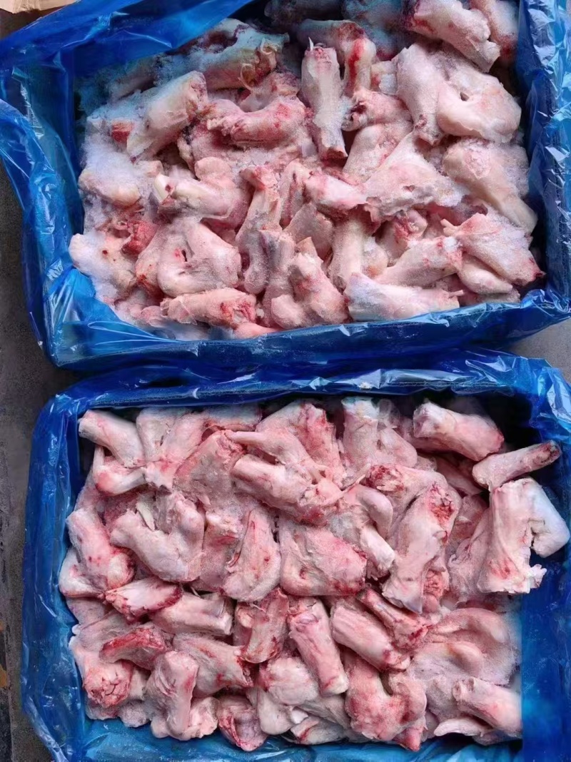 羊拐筋