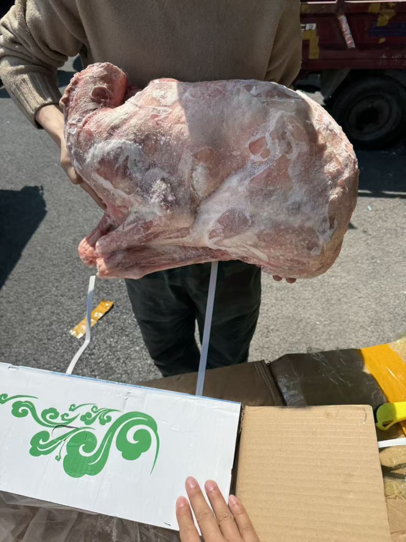 内蒙小全羊