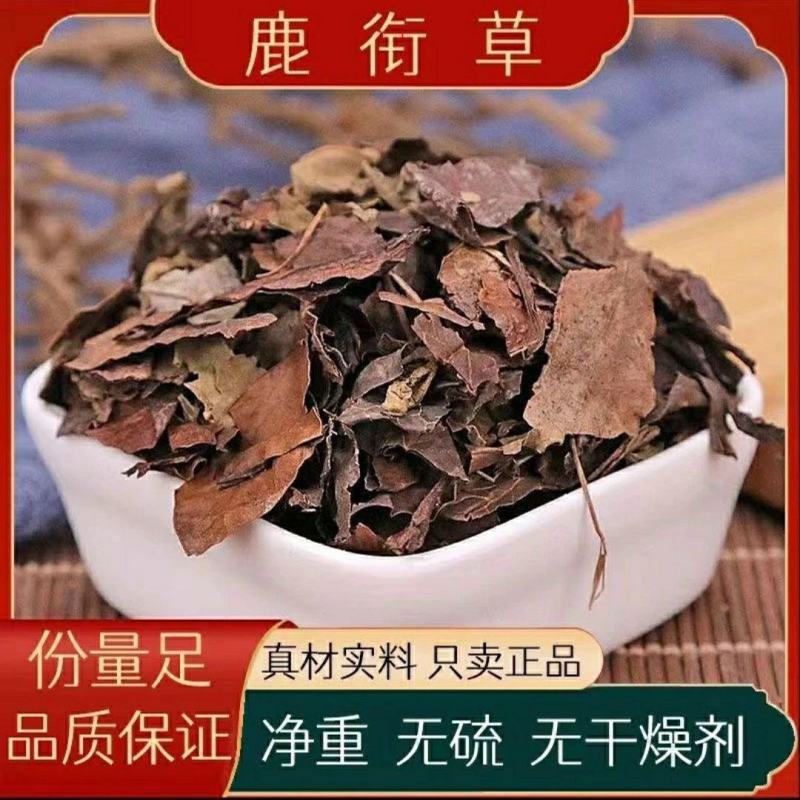 鹿衔草鹿晗草鹿蹄草鹿含草鹿晗草破血丹可磨鹿衔草粉筛选