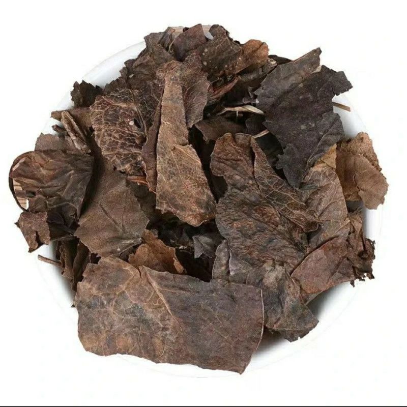 鹿衔草鹿晗草鹿蹄草鹿含草鹿晗草破血丹可磨鹿衔草粉筛选
