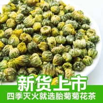 菊花茶胎菊王正宗精品杭白菊胎菊胎菊组合花茶胎菊