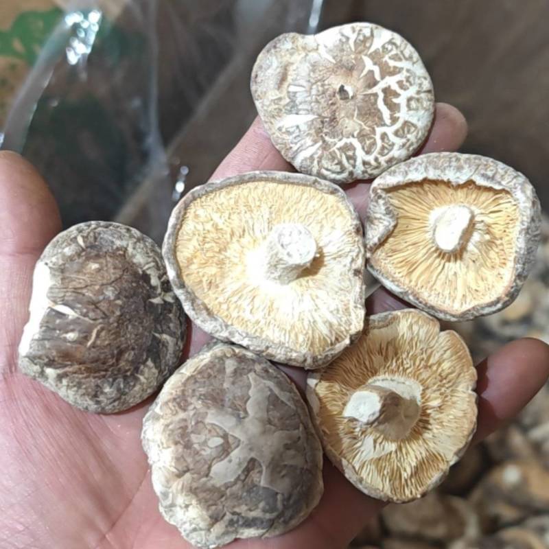精选干香菇电商专用干香菇质量保证湖北基地直供全国发货