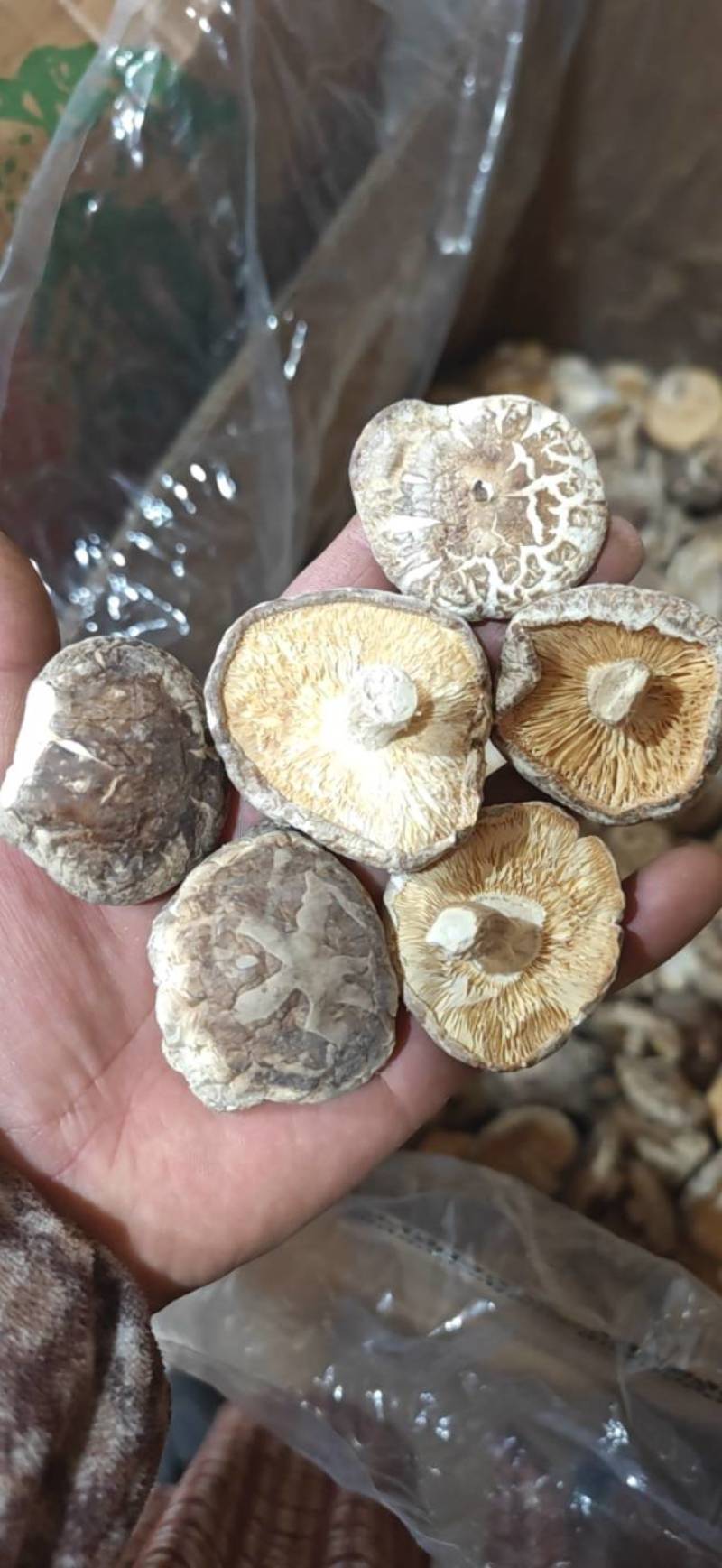 精选干香菇电商专用干香菇质量保证湖北基地直供全国发货