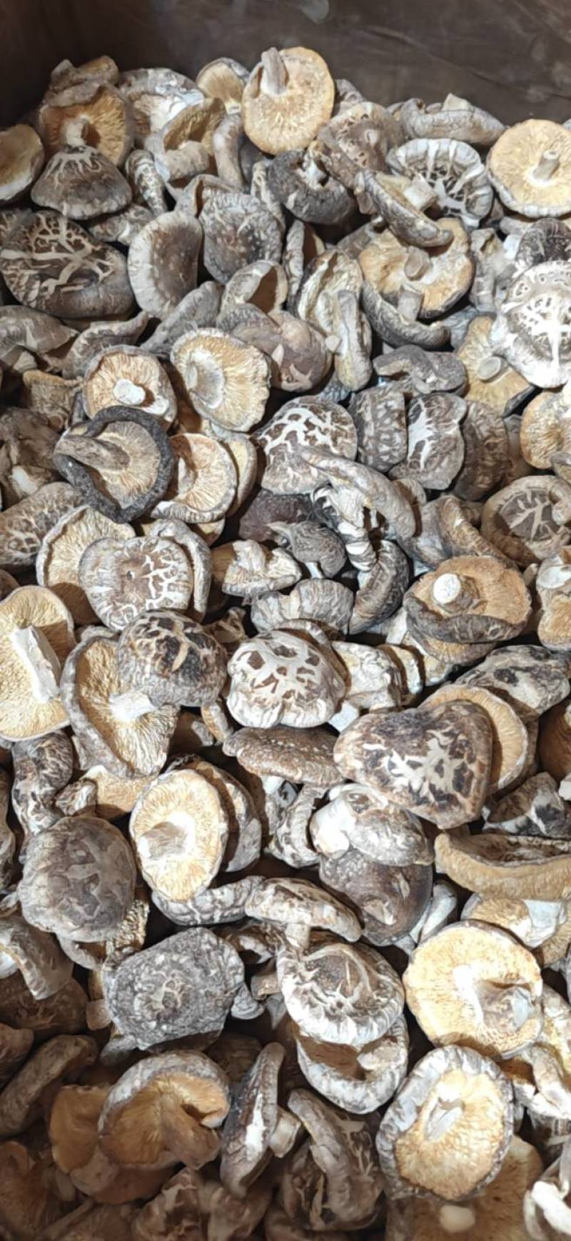 精选干香菇电商专用干香菇质量保证湖北基地直供全国发货