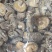 精选干香菇电商专用干香菇质量保证湖北基地直供全国发货