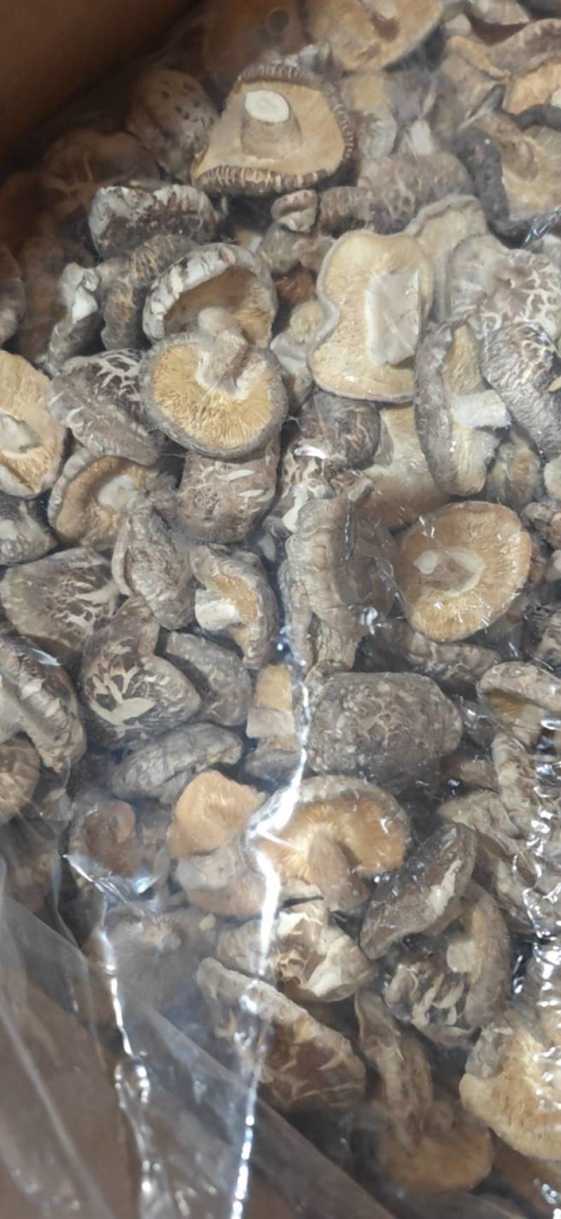 精选干香菇电商专用干香菇质量保证湖北基地直供全国发货