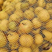 果汁梨