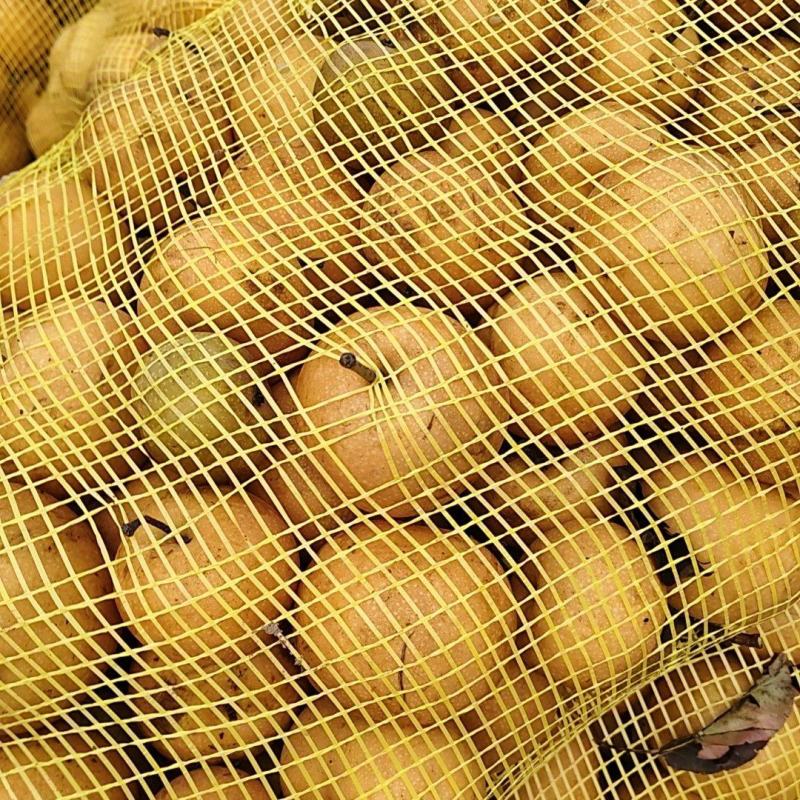 果汁梨