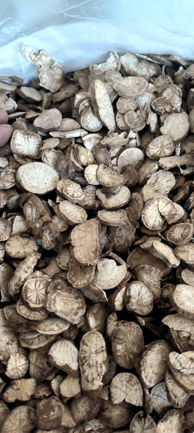 防己广西基地直供质量保证量大优惠欢迎订购