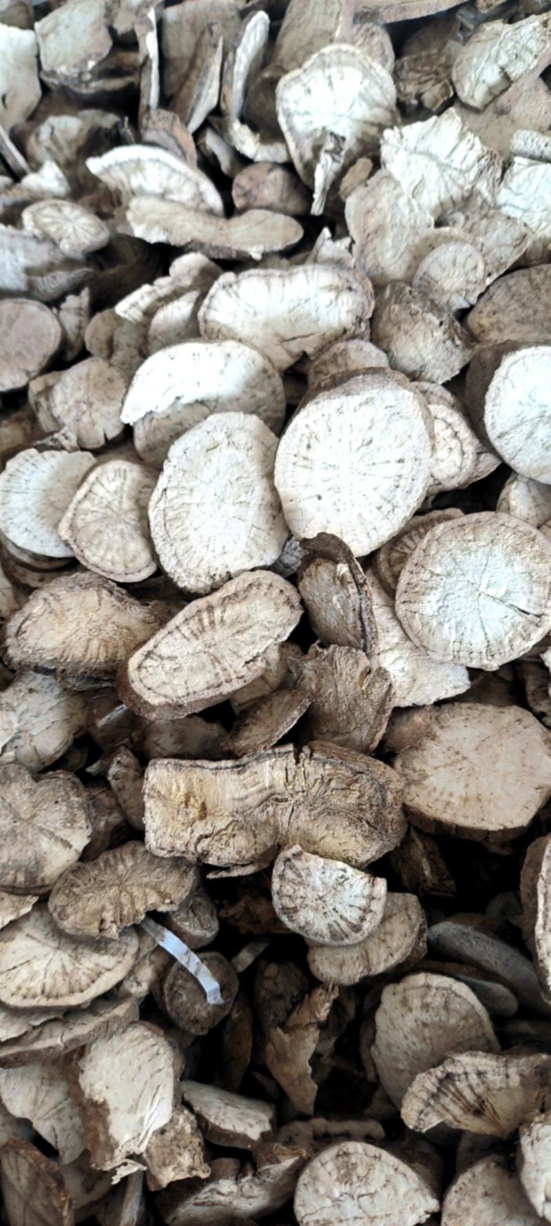防己广西基地直供质量保证量大优惠欢迎订购