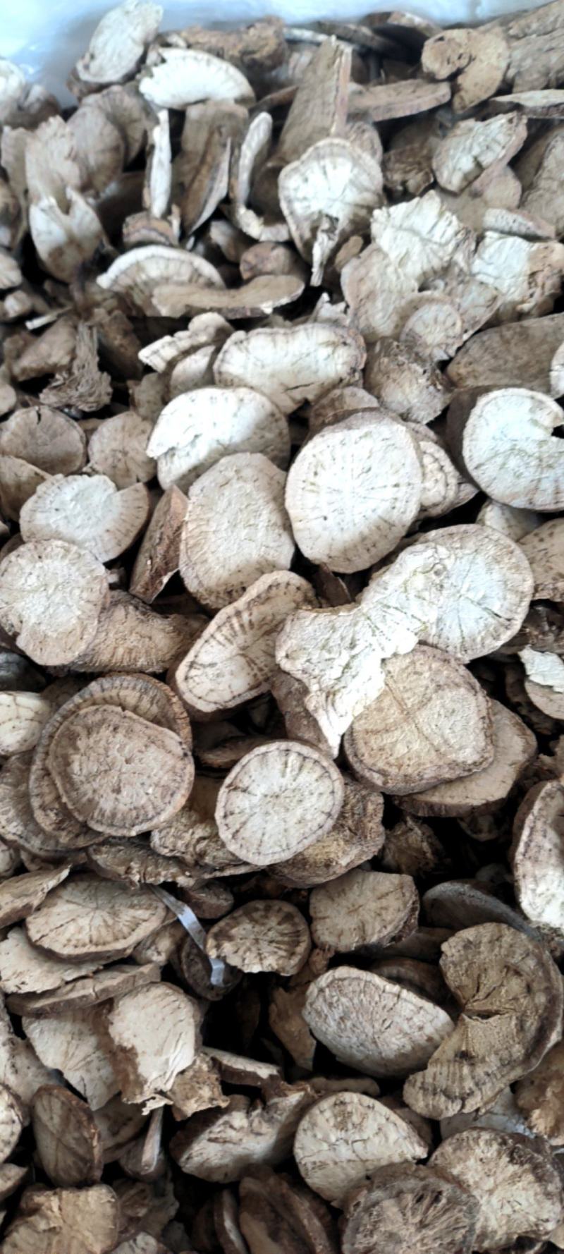 防己广西基地直供质量保证量大优惠欢迎订购