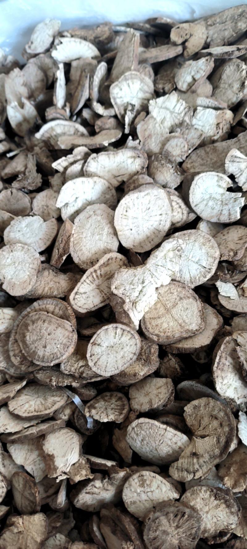 防己广西基地直供质量保证量大优惠欢迎订购