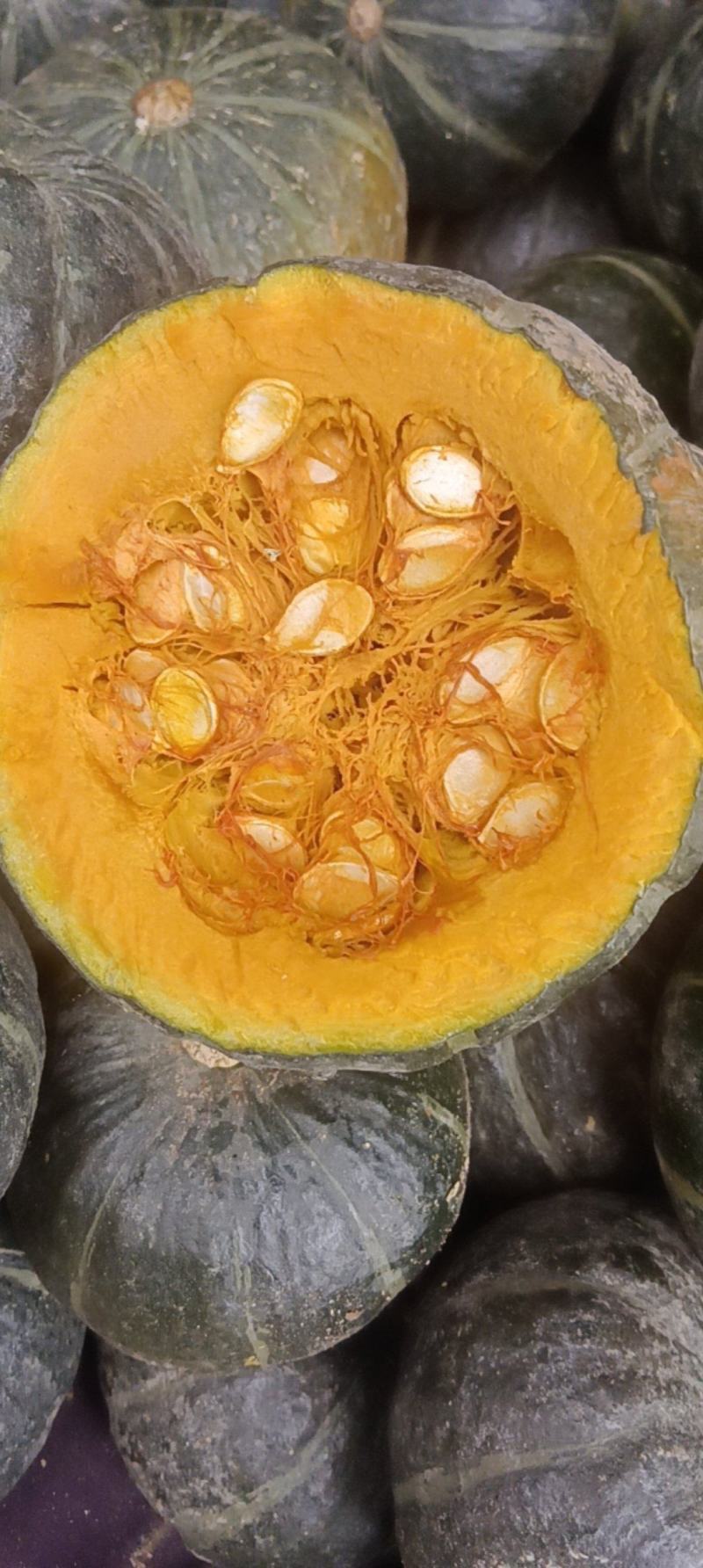 干面甜贝贝瓜内蒙沙地贝贝瓜