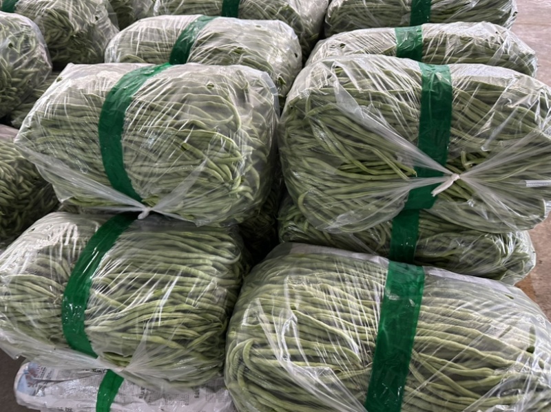 无茎豆无茎豆量大价格便宜价格优美优美