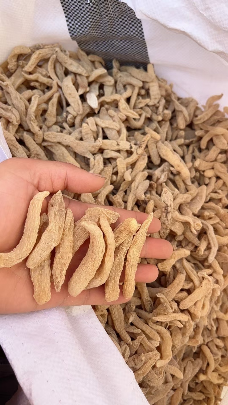 电商直供天麻，昭通天麻，云南小草坝小天麻新货大量上市无硫