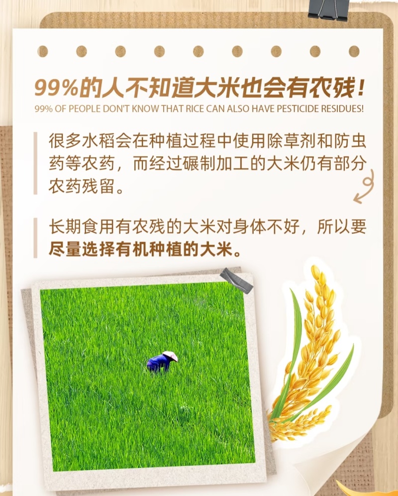 低农残富硒大米