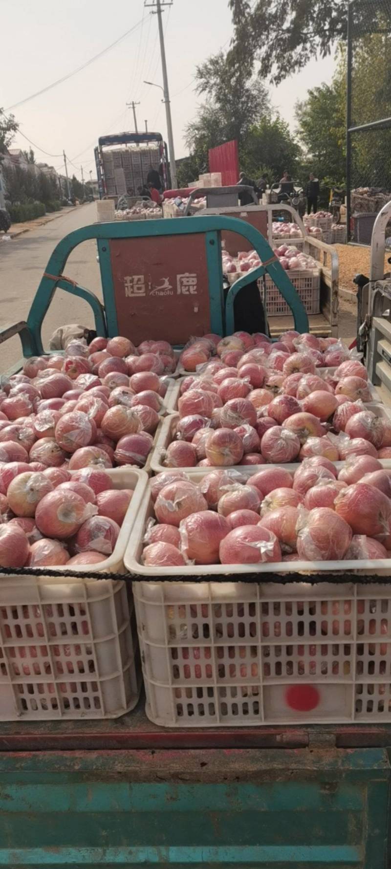隆尧特产
