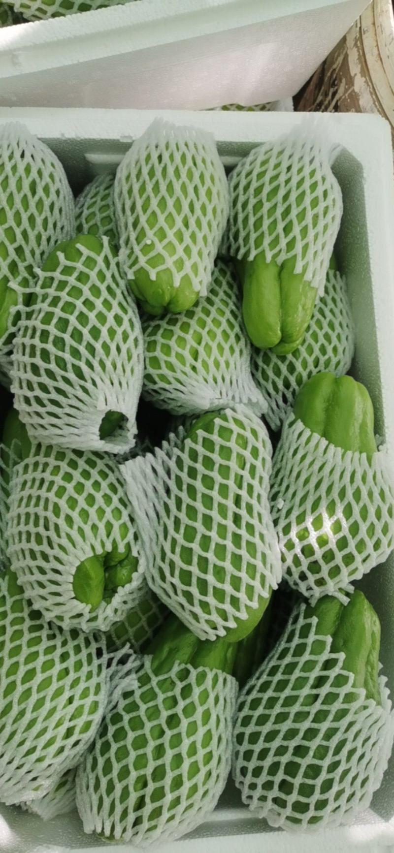 精品佛手瓜，洋瓜，黑绿黑绿，大量有货～