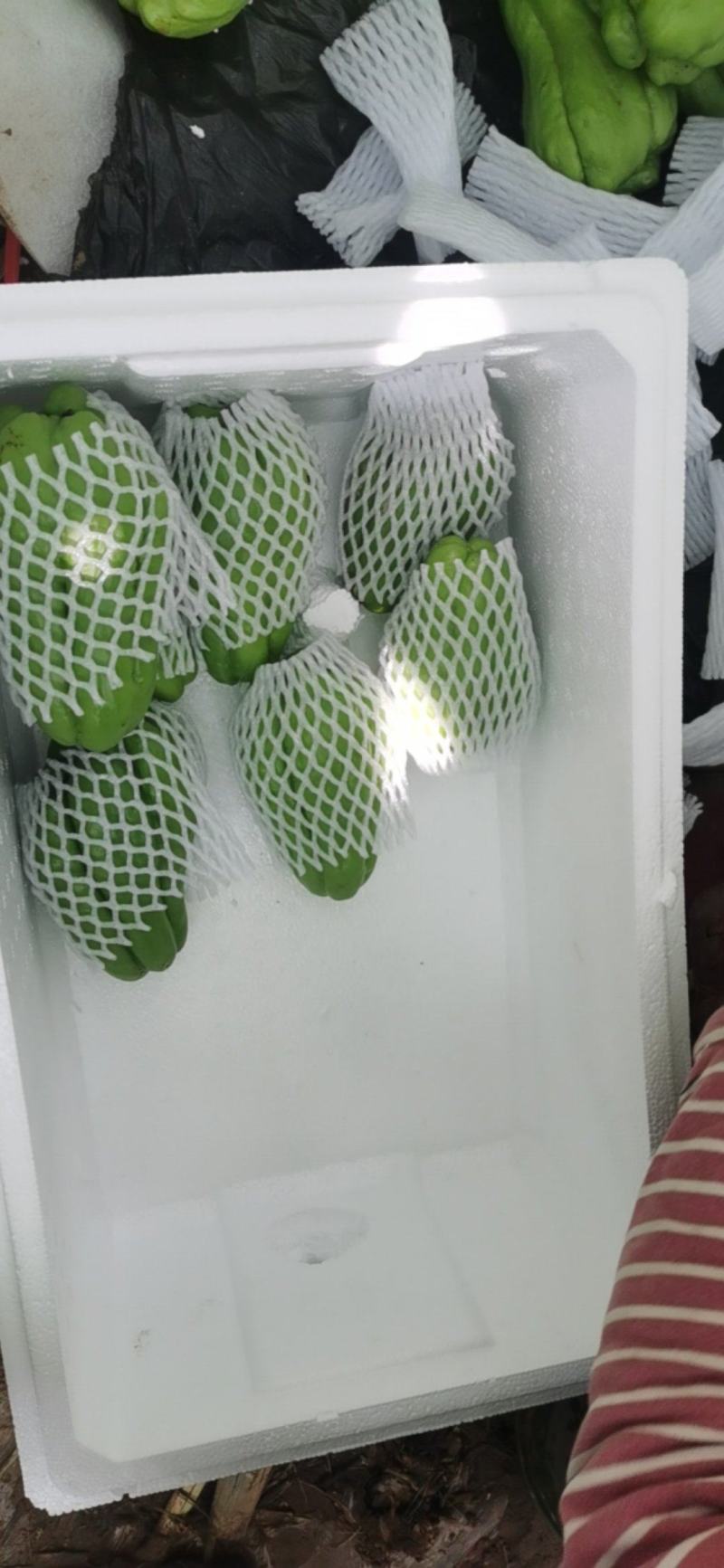 精品佛手瓜，洋瓜，黑绿黑绿，大量有货～