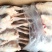 鲜品冻品579小公鸡6-15只价格冰点
