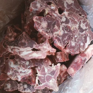 羊蝎子