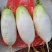 自家萝卜直供（韩王子）