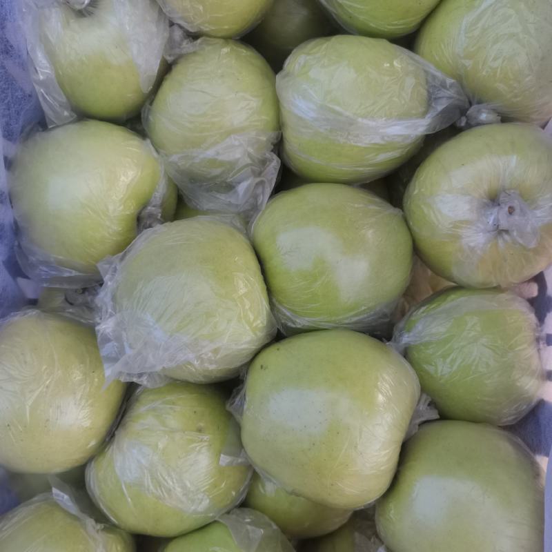 冷库备有膜袋黄元帅，质量好无残果，产地直销。