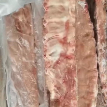 国产肥龙骨