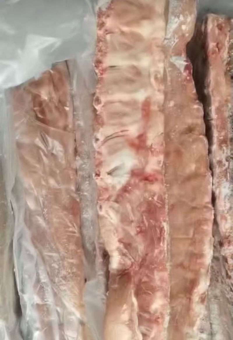 国产肥龙骨