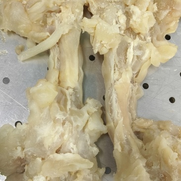 【熟牛蹄筋】带皮熟牛副筋