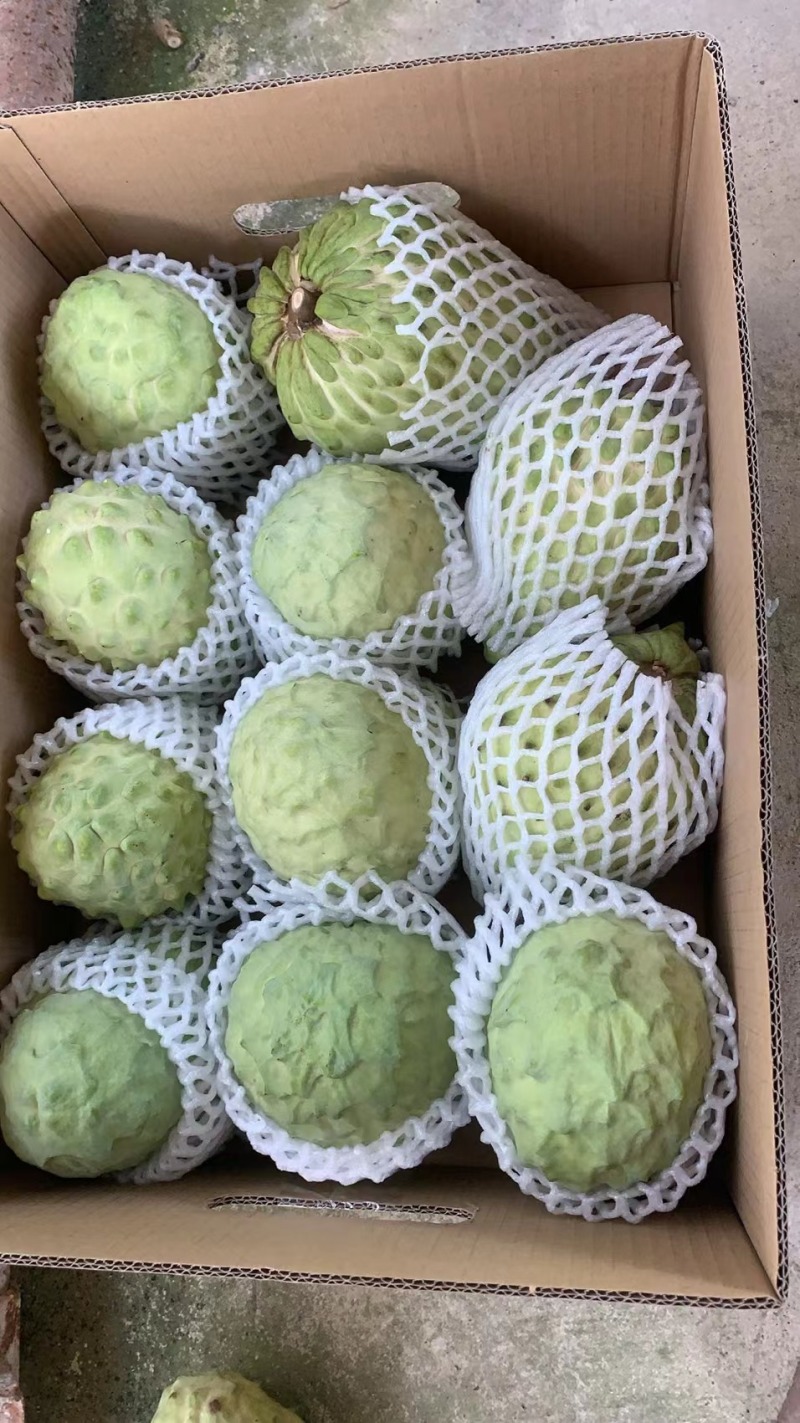 释迦果