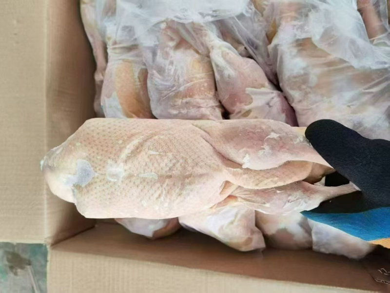 二级600～700的小白条鸭