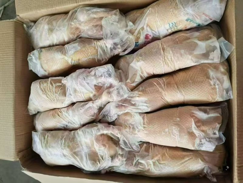 二级600～700的小白条鸭