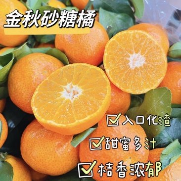 【金秋砂糖橘】广西砂糖橘/永福柑橘/一件代发电商团购