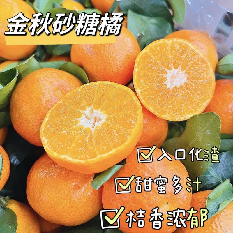 【金秋砂糖橘】广西砂糖橘/永福柑橘/一件代发电商团购