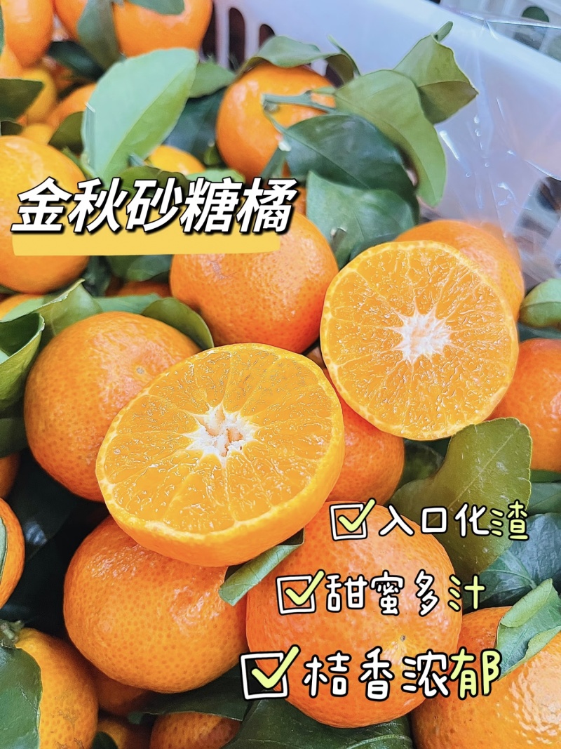 【金秋砂糖橘】广西砂糖橘/永福柑橘/一件代发电商团购