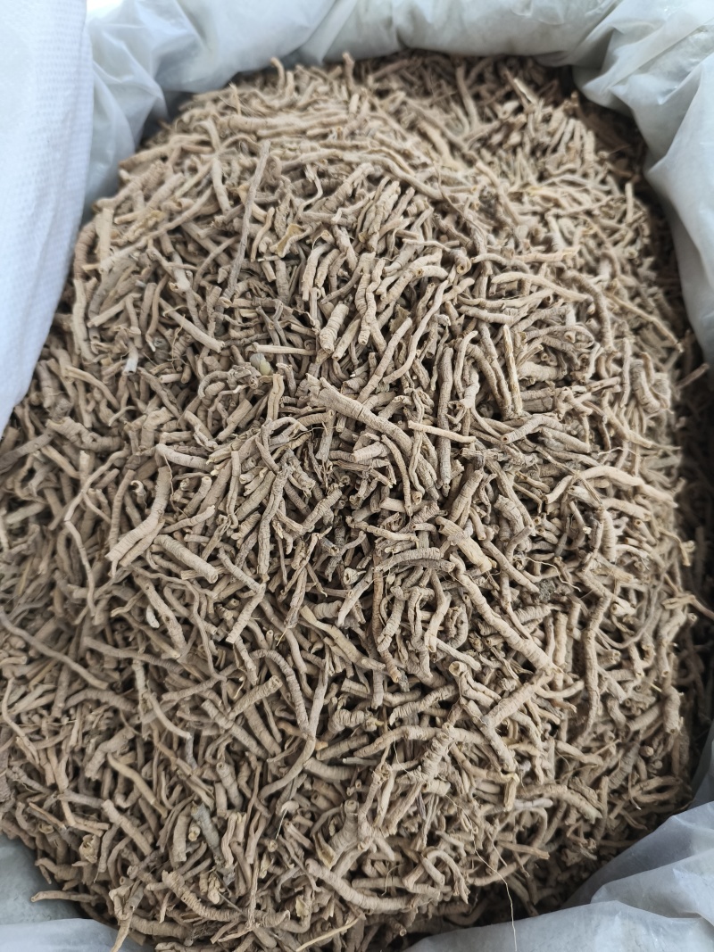 远志新货抽芯货量大从优各种中药材批发