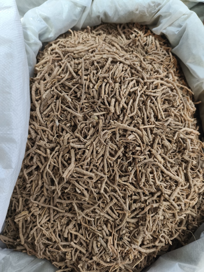 远志新货抽芯货量大从优各种中药材批发