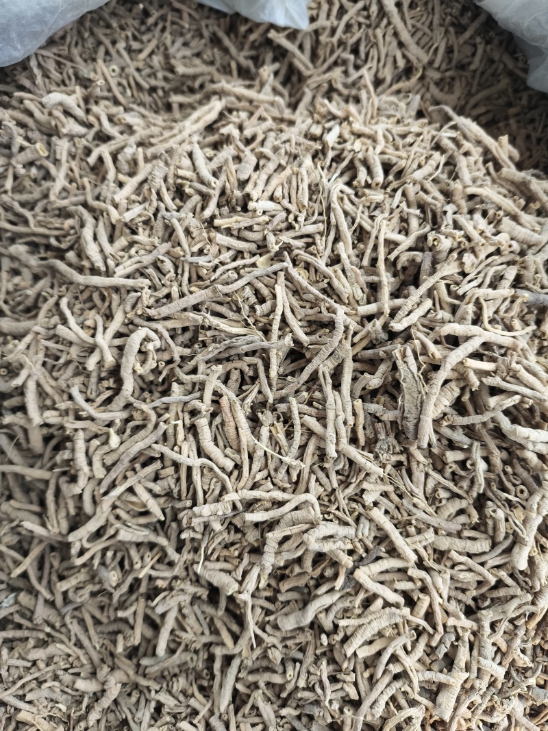 远志新货抽芯货量大从优各种中药材批发