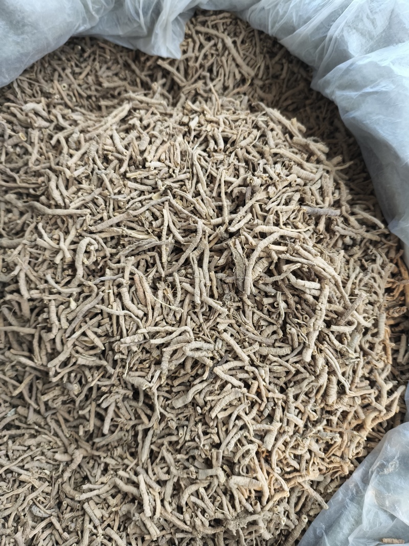 远志新货抽芯货量大从优各种中药材批发