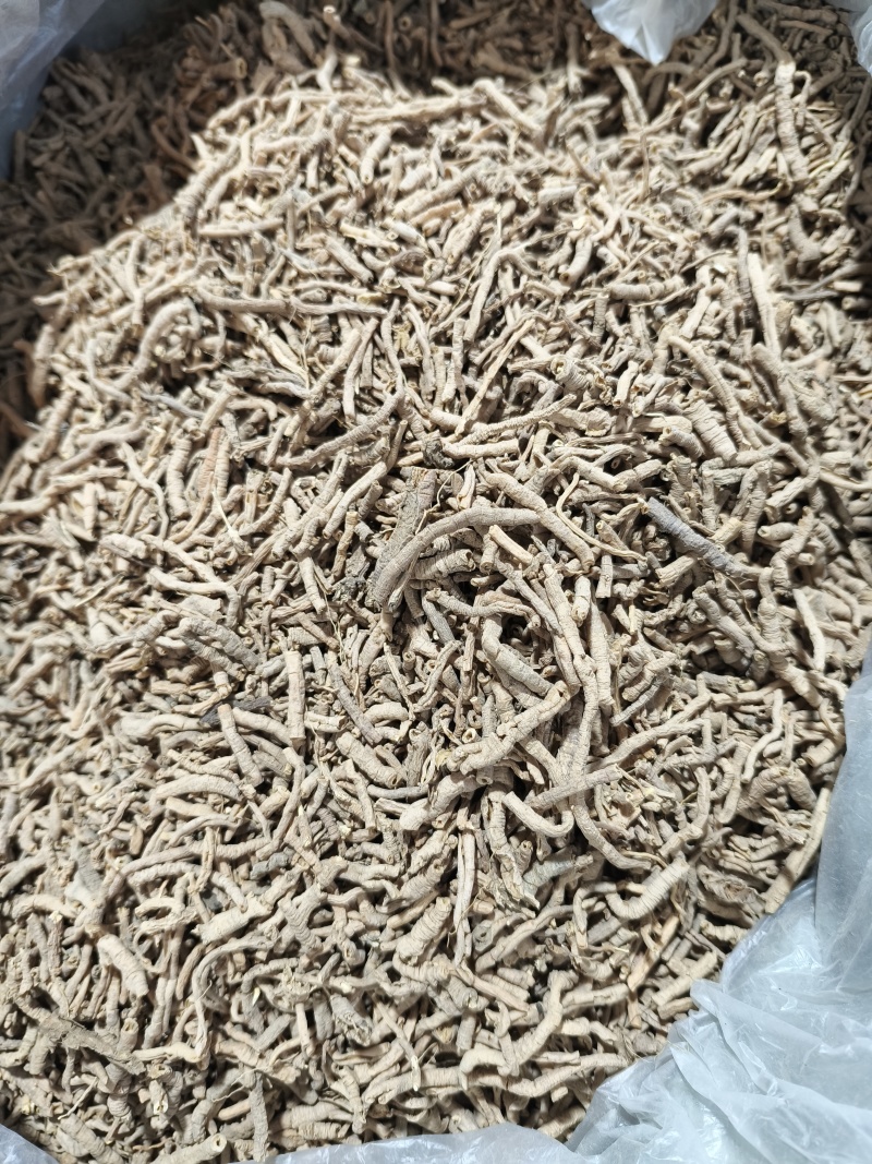 远志新货抽芯货量大从优各种中药材批发