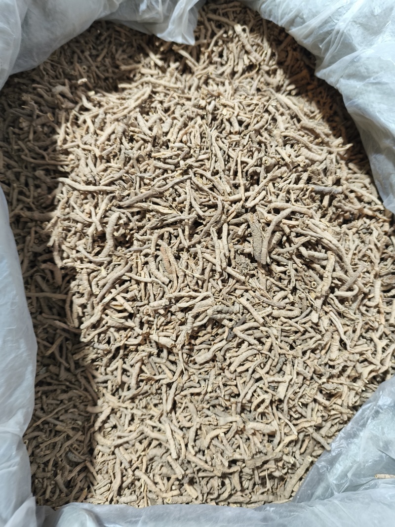 远志新货抽芯货量大从优各种中药材批发