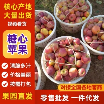 苹果、糖心苹果大量有货，产地直发，可批发，可一件代发