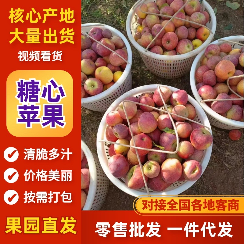 苹果、糖心苹果大量有货，产地直发，可批发，可一件代发