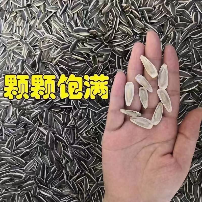 葵花籽到货