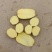 陕北纯沙地土豆V7陇薯七号沃土希森玖恩刘平等